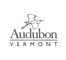 audobon vermont logo