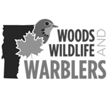 woods, wildlife, and warblers logo