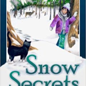 Snow Secrets book cover.