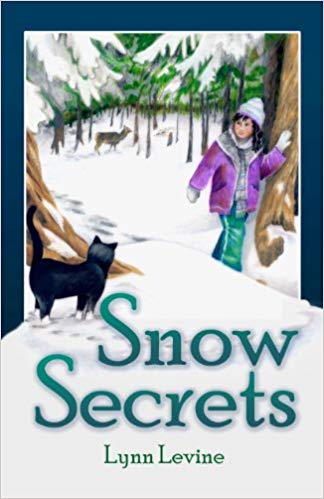 Snow Secrets book cover.