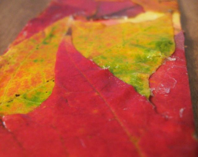 Leaf bookmark