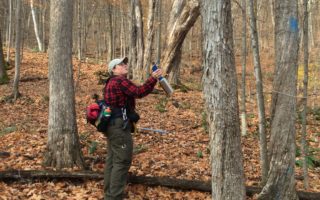 Forester Kathy Beland marking trees with blue paint for a timber harvest