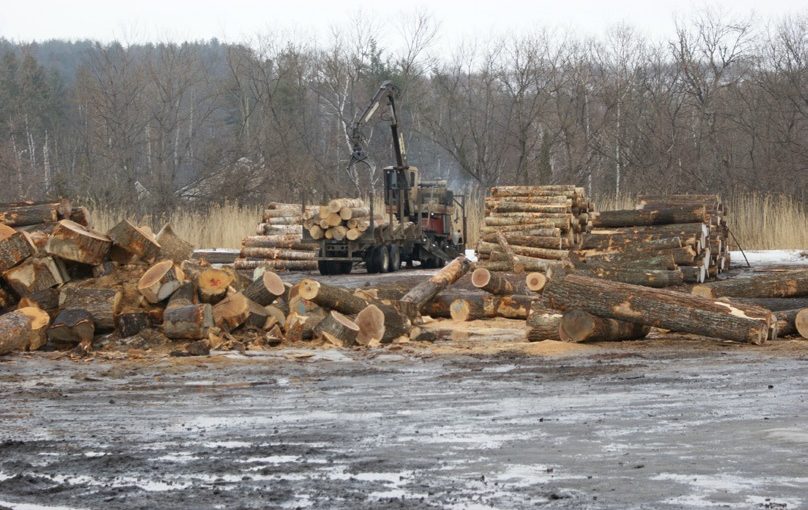 Log yard at Columbia Forest Products, Newport, VT