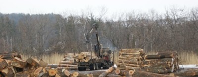 Log yard at Columbia Forest Products, Newport, VT
