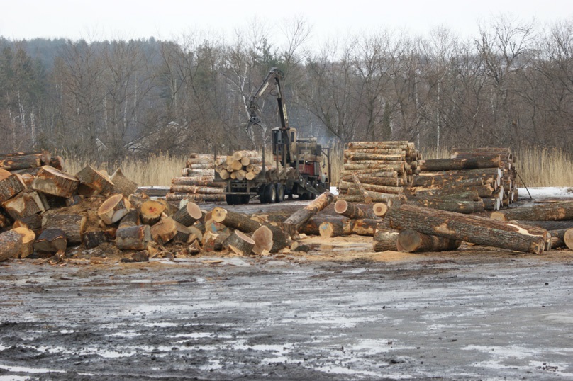 Log yard at Columbia Forest Products, Newport, VT