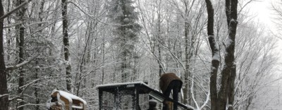 Man on bulldozer in winter