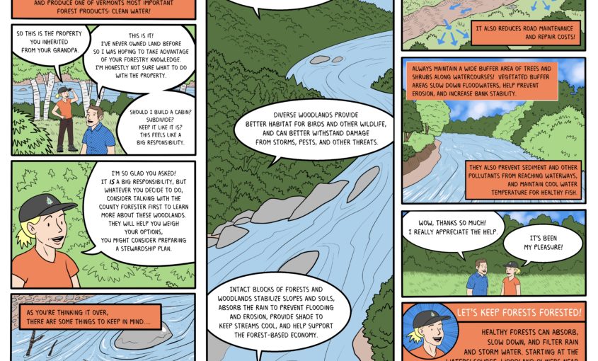 Water Wise Woodlands Image