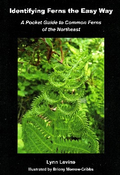 Book cover: Identifying Ferns the Easy Way, a pocket guide to common ferns of the Northeast by Lynn Levine