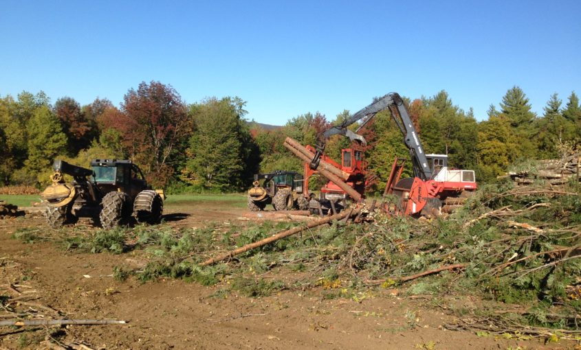 Harvesting equipment on an active logging job