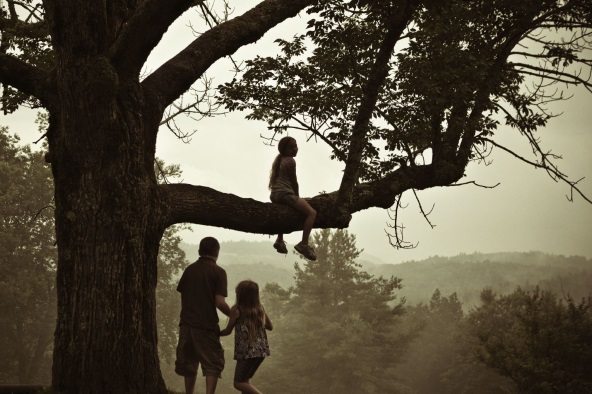 What will become of your land in the future? Will your grandkids still be able to enjoy climbing this tree?