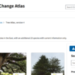 The Climate Change Tree Atlas (hyperlinked) provides information on which species may do better in a changing climate.