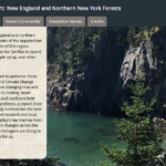 The USDA Climate Change and Adaptation story map (hyperlinked) visually supports the information provided in the New England and northern New York forest ecosystem vulnerability assessment and synthesis.