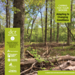 Caring For Your Woods (hyperlinked) contains information for forest landowners on carbon mitigation.