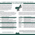 Climate Change Projections for Individual Tree Species (hyperlinked) provides lists of projected tree species responses to climate change.
