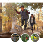 Healthy Forests for Our Future (hyperlinked) introduces and describes 10 forest management practices designed for hardwood forests in New England and New York.