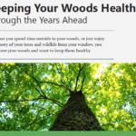 Keeping Your Woods Healthy Through the Years Ahead (hyperlinked) shares solutions to help forest landowners prepare for and cope with the unpredictable conditions that lie ahead.