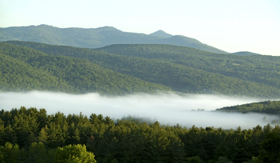 Rugged Ridge Grows Sugarbush, Business in Pace with the Forest